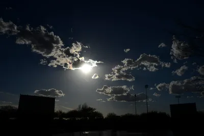 DSC_1683 (Large).JPG